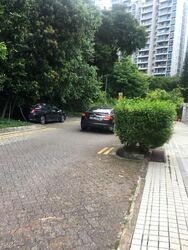 Emerald Hill Road (D9), Terrace #458872021